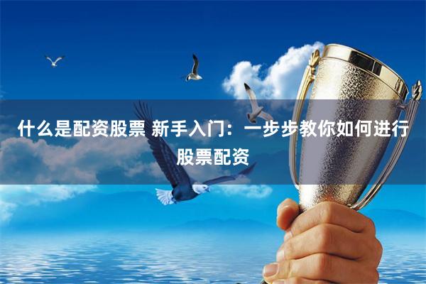 什么是配资股票 新手入门：一步步教你如何进行股票配资