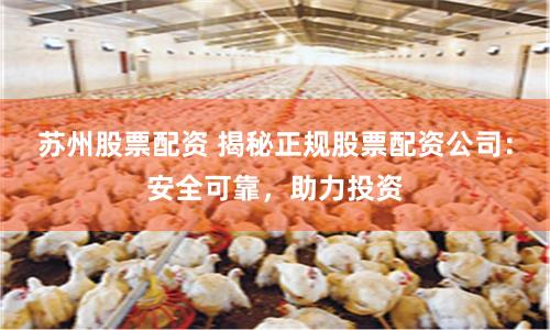 苏州股票配资 揭秘正规股票配资公司：安全可靠，助力投资